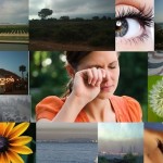 Alergia ocular y contaminación