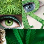 ¿Qué efectos tiene en el glaucoma el uso de la marihuana?