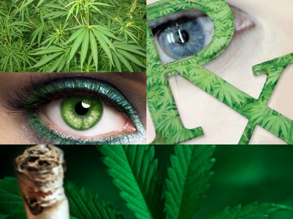 Dudas sobre el uso terapéutico de la marihuana para tratar el glaucoma