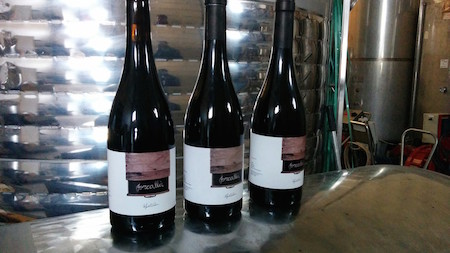 Vinos de la Bodega de Rafael Cambra - Oftalmólogo de Ontinyent